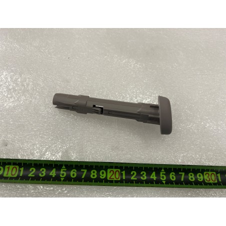 Manchon coulissant d'appui-tête de siège 2e rang-Marron ZA6 - BYD - 20461259-00