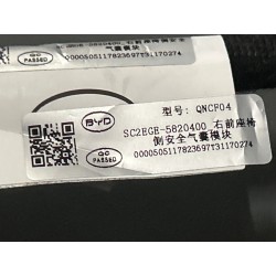 Dossier du siège passager avant - Gris HCQ - BYD - 20461253-00