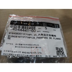 Boulon à bride hexagonale - BYD - 14544441-00