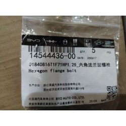 Boulon à bride hexagonale - BYD - 14544436-00