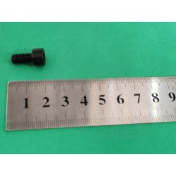 Vis à tête cylindrique à six pans creux - BYD - 14544432-00
