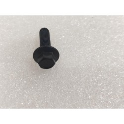 Boulon à bride hexagonale - BYD - 14544420-00