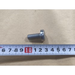 Boulon à tête bombée à six pans - BYD - 14544030-00