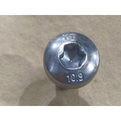Boulon à tête bombée à six pans - BYD - 14544030-00