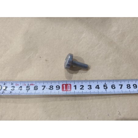 Boulon à tête cylindrique bombée à six pans creux - BYD - 14544029-00