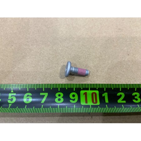 Vis à tête cylindrique à six pans - M5×14×0.8mm - ca - BYD - 14506530-00