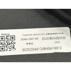 Dossier du siège conducteur - Marron ZA6 - BYD - 20461242-00
