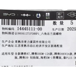 Boulon à bride hexagonale - BYD - 14445111-00