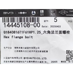 Boulon à bride hexagonale - BYD - 14445108-00