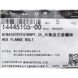 Boulon à bride hexagonale - BYD - 14445105-00