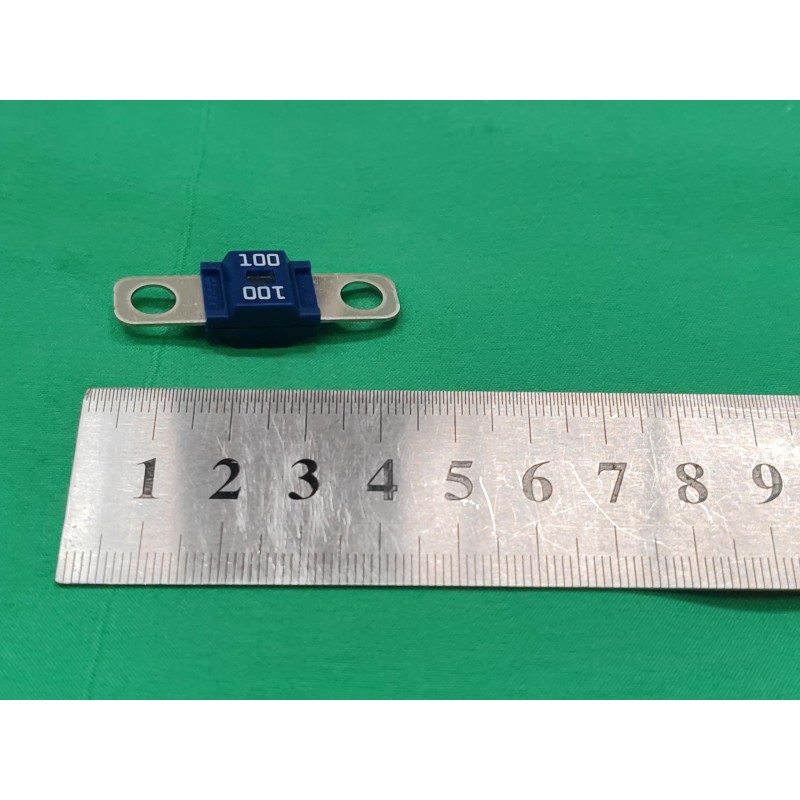 Fuse - 3319-0001 - 58V - 100A - BYD - 14417843-00