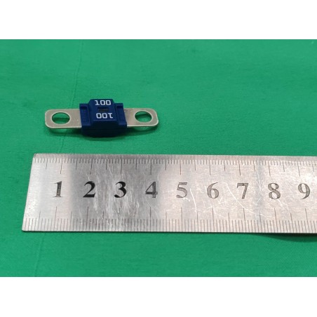 Fuse - 3319-0001 - 58V - 100A - BYD - 14417843-00