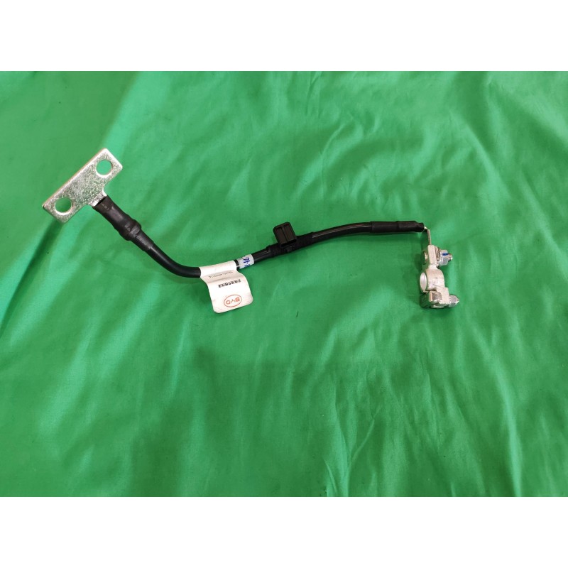 Faisceau de câblage négatif batterie 12 V - BYD - 14384800-00