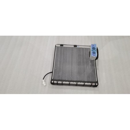Évaporateur - BYD - 14317220-00