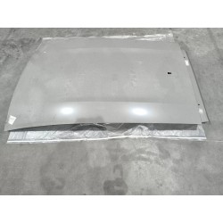 Panneau extérieur de la couverture du toit - BYD - 14272149-00