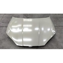 Capot - BYD - 14264950-00