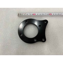 Plaque de base de fixation du frein arrière - BYD - 14261799-00