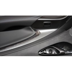 Protection de la portière avant droite - Noir foncé 5 - BYD - 14261010-00