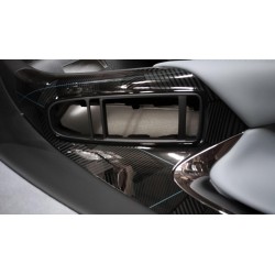 Protection de la portière avant gauche - Bleu - BYD - 14260962-00