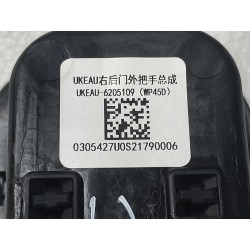 Poignée extérieure de la porte arrière droite - BYD - 14260650-00