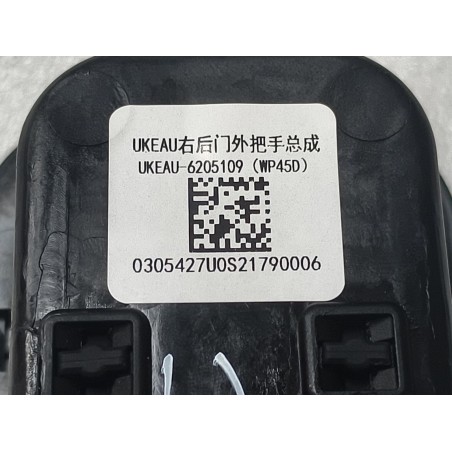 Poignée extérieure de la porte arrière droite - BYD - 14260650-00