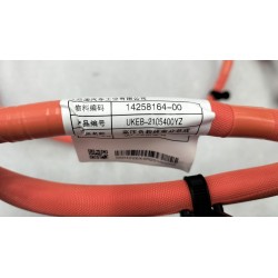 Assemblage de faisceau de charge haute tension - BYD - 14258164-00