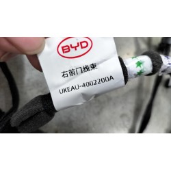 UKEAU - 4002200A - faisceau de porte avant droite - BYD - 14252586-00
