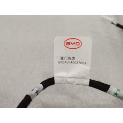 Faisceau de câblage du couvercle de coffre - BYD - 14252581-00