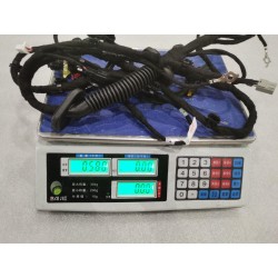 Faisceau de câblage du couvercle de coffre - BYD - 14252581-00