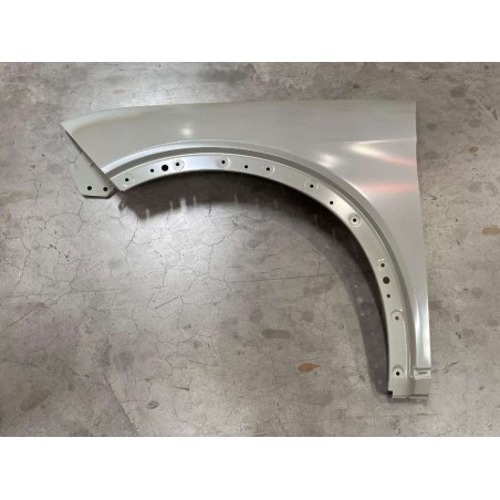 Aile gauche - BYD - 14250276-00
