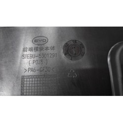 Module frontal - BYD - 14233212-00