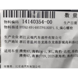 Boulon excentrique - BYD - 14140354-00