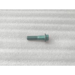 Boulon à bride hexagonale - BYD - 14140349-00