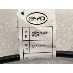 Faisceau de câbles I de mise à la terre de l'ensemble de charge et de distribution - BYD - 14135750-00