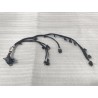 Faisceau de câblage de module intégré - BYD - 14134474-00