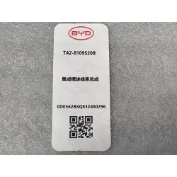 Faisceau de câblage de module intégré - BYD - 14134474-00