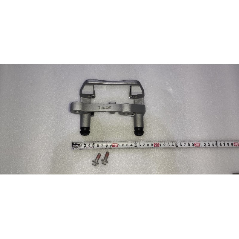 Support d'étrier de frein arrière gauche - BYD - 20101576-00