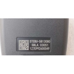 Boucle de la ceinture de sécurité centrale de la rangée centrale - BYD - 14096798-00