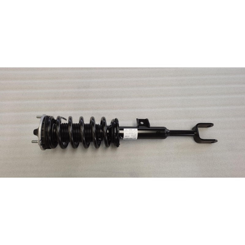 Jambe de force amortisseur avant droit.() - BYD - 14078046-00