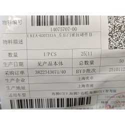 Bouchon de fermeture de la porte arrière gauche II - BYD - 14075707-00