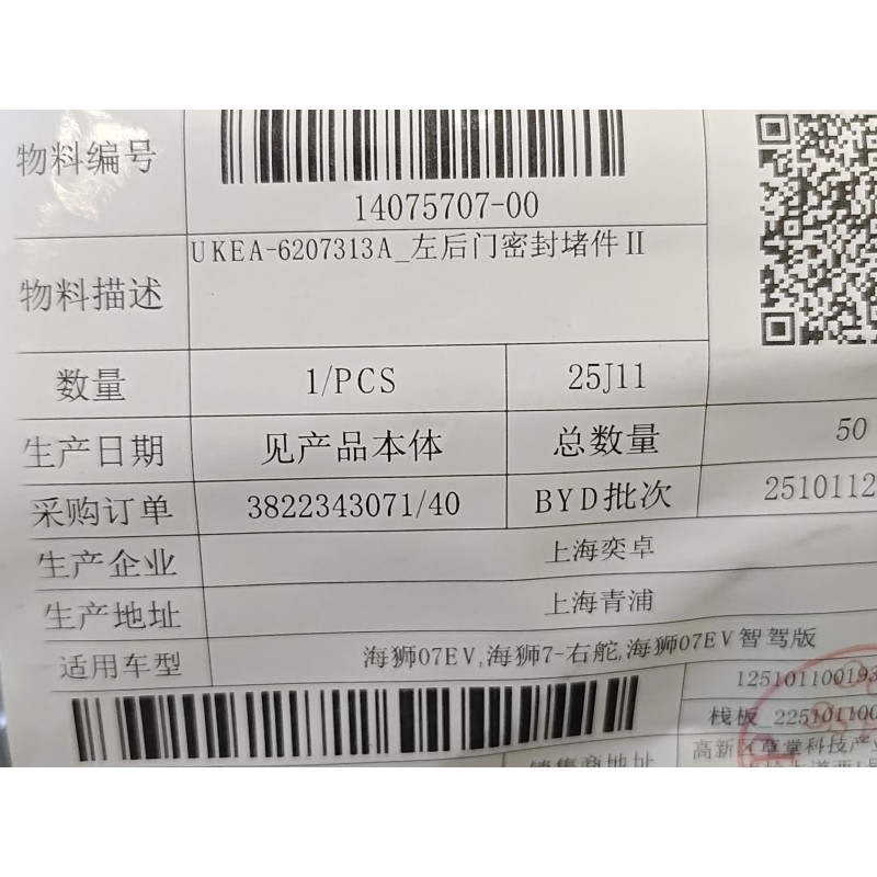 Bouchon de fermeture de la porte arrière gauche II - BYD - 14075707-00