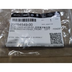 Support d'aile avant gauche - BYD - 20054549-00