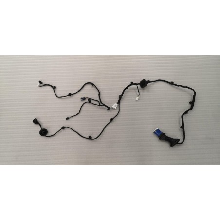 Faisceau de câbles de la portière arrière droite - BYD - 13985891-00