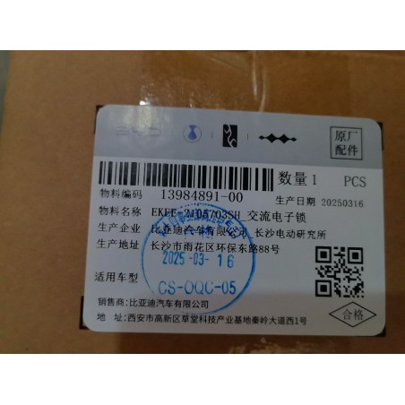 Serrure électronique CA - BYD - 13984891-00