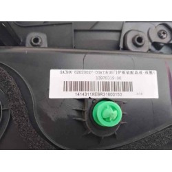Protection de la portière arrière droite - Noir foncé 5 - BYD - 13978319-00