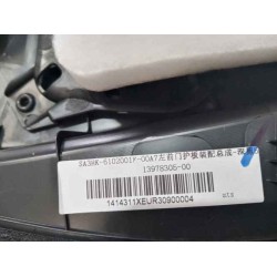 Protection de la portière avant gauche - Noir foncé 5 - BYD - 13978305-00