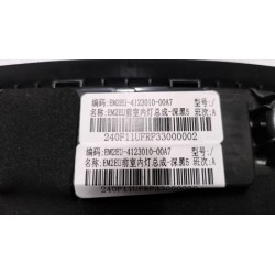 Éclairage intérieur avant - Noir foncé 5 - BYD - 13975210-00