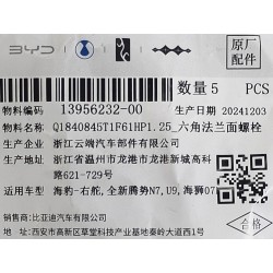 Boulon à bride hexagonale - BYD - 13956232-00