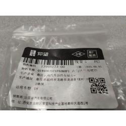 Boulon à bride hexagonale - BYD - 13946173-00