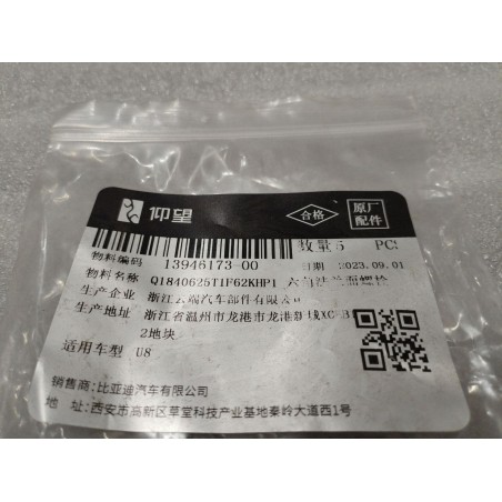 Boulon à bride hexagonale - BYD - 13946173-00